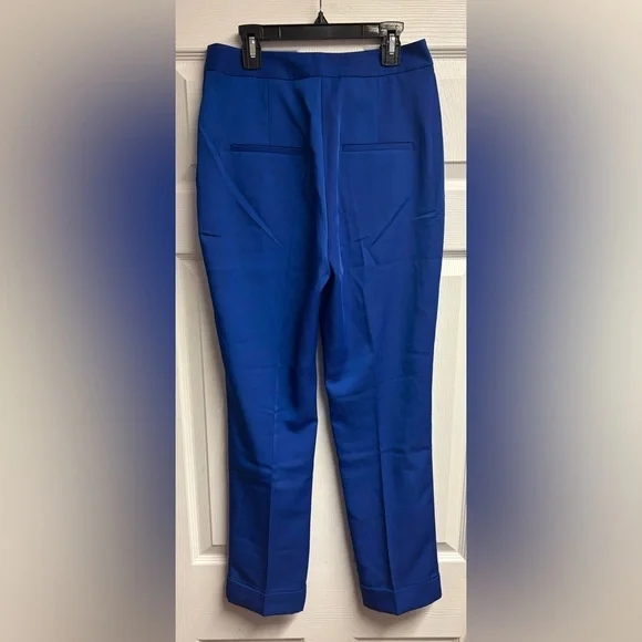 NWT Tuckernuck Sapphire Blue Duncan Trouser Pants Size XS - Picture 2 of 4
